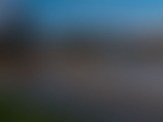 February 2020 Newsletter