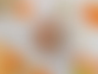 Vegan Chocolate Milkshake Recipe