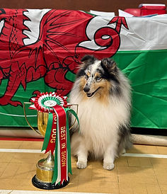 Kai BISWales 2025.jpg