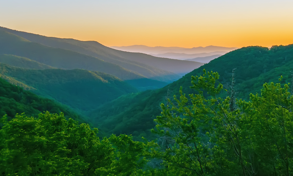 Western North Carolina Blue Ridge Mountains Fletcher, NC Highland Tallow co.