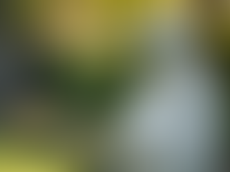 A Busca por Equidade: Uma Reflexão sobre o Dia Internacional da Mulher à Luz do Pensamento de Edith Stein