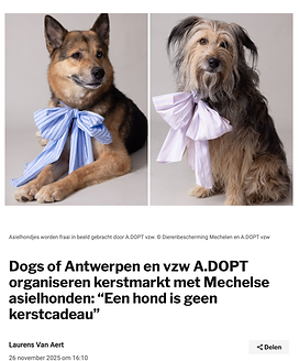 SchermÂafbeelding 2025-12-19 om 09.38.40.png