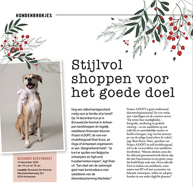 SchermÂafbeelding 2025-12-19 om 09.32.02.png