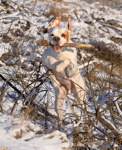 DSC_0005_DxO.jpg