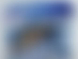 VIANOČNÝ PRÍBEH Z PERA PAVLA MIŠENKA: Polnočná omša