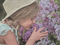 PRIPOMÍNAME SI TRADÍCIE: Májový orgován nechýba vo viacerých záhradkách