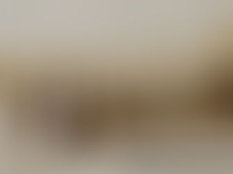 Prvé korčule slúžili lovcom zvierat, postupne sa začali využívať aj na zábavu 