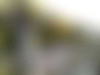 VIDEO Zapáliť sviečku budete môcť aj virtuálne. Správca upravil režim na cintorínoch v Starej Ľubovni