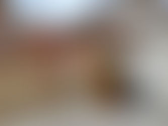 Doplnili sa zberné nádoby na bio-odpad