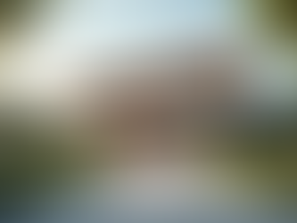 Choosing the Right Roofing Material for Your Home