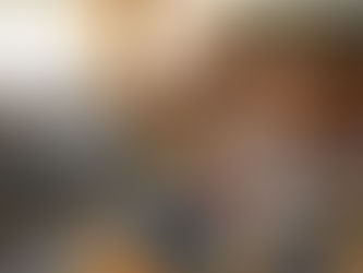 PROGRAM rokovania poslancov Mestského zastupiteľstva v Starej Ľubovni