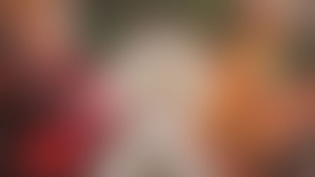 Vianočný symbol zdravia a jednoty: Jablko odnepamäti kraľuje nášmu stolu