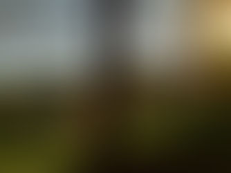 V historickom sade pod hradom Ľubovňa predstavia ovocinárske remeslo