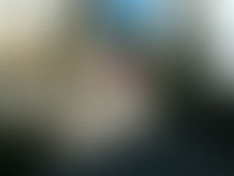 Vietor lámal stromy, odtrhol aj časť fasády