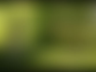 V predveľkonočnom čase ožívajú kalvárie. V Ľubovni ju postavila starostova rodina