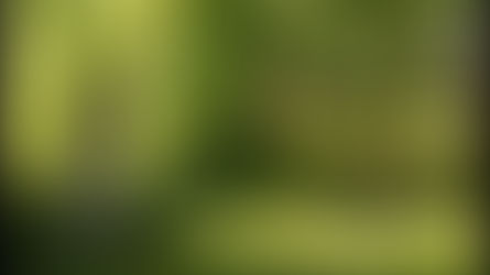 V predveľkonočnom čase ožívajú kalvárie. V Ľubovni ju postavila starostova rodina