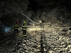 Požiare, nehody i kuriózne výjazdy: Pozrite si štatistiky hasičov zo Starej Ľubovne 2025