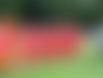 VIDEO Futbalistom hrozí v Starej Ľubovni koniec, situácia s Redfox je napätá!