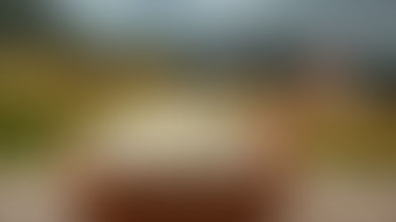 SPRÁVY Z FARMY: Fermentované potraviny a ich benefity 