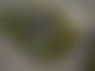 VIDEO Áno či nie?! V Starej Ľubovni vedú debaty o ďalšom obchodnom centre i sieti rýchleho občerstvenia