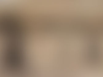 HISTÓRIA Lyžiam predchádzal dlhý vývoj. Vynaliezavosť ľudí bola neuveriteľná