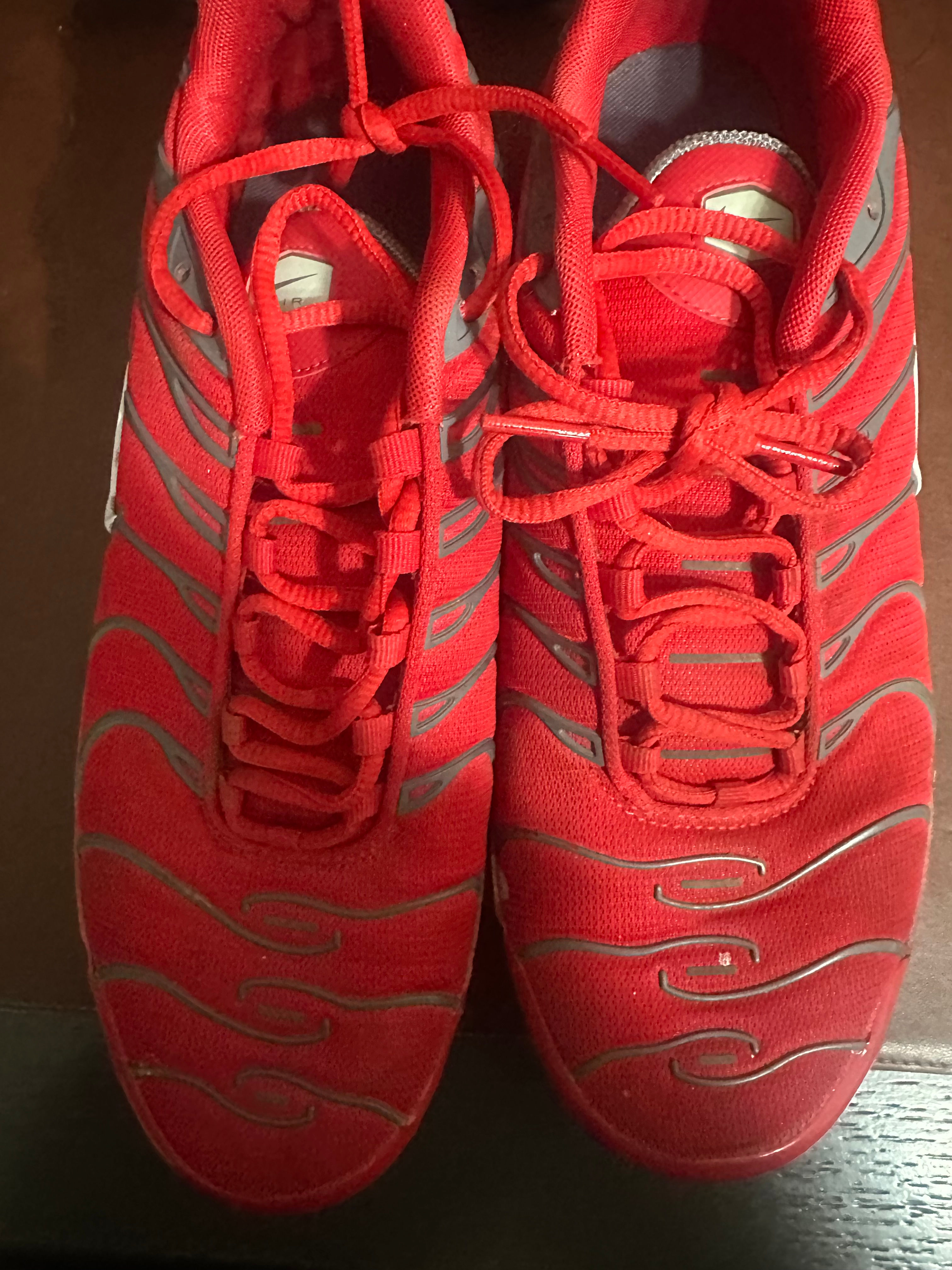 Nike Air Max Plus sneakers in size 10.5