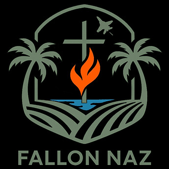 Fallon Naz Logo.jpg