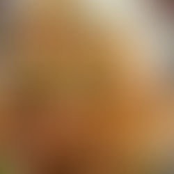 STICKY SESAME CHICKEN