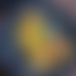 TOMATO BASIL EGG FLOP