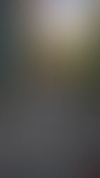 Hardscaping with walkway and stairs