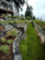 High angle view of a garden with mulch and native plants