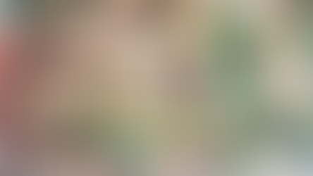 ¡Venta Especial Green Element!