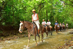 Horseback riding