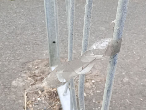 tape