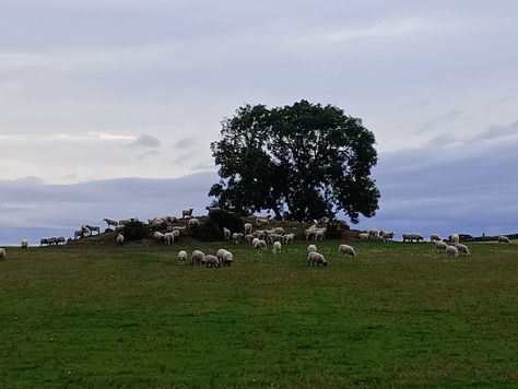 take the high ground