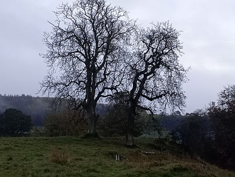 Missing someone is a mother who leaves the front door ajar