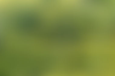 La Rodiola che ridà la carica