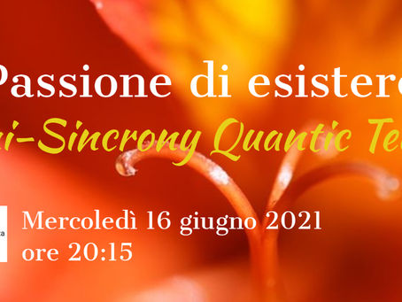 MINI-SINCRONY Quantic Team