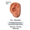 Thumbnail: 36 Key Acupoint Pictures for Aroma Point Therapy