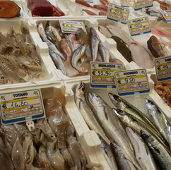 Close-up of fresh seafood including fish, squid, shrimp, and mantis shrimp at Mercato Rionale Monti, a local market in Rome's Monti neighborhood.