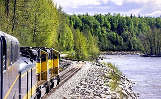 Image by Element5 Digital