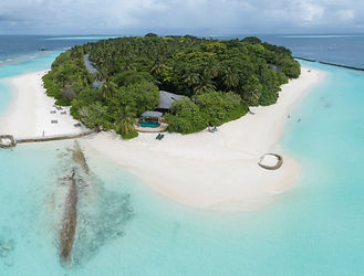 Image by Element5 Digital