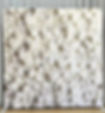 Ivory Rose floral even backdrop available from Elite Moments