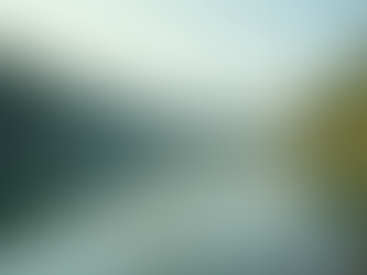 The Power of Mindfulness in Everyday Life