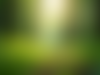 The Importance of Sustainable Living in Today's World