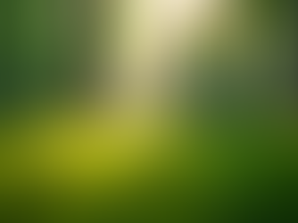 The Importance of Sustainable Living in Today's World