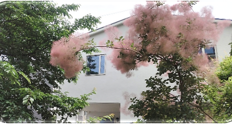 image031.png