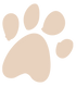 足あと