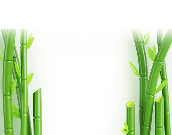 대나무배경.png