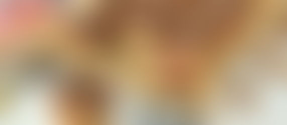 Sinterklaas speculaas rolls